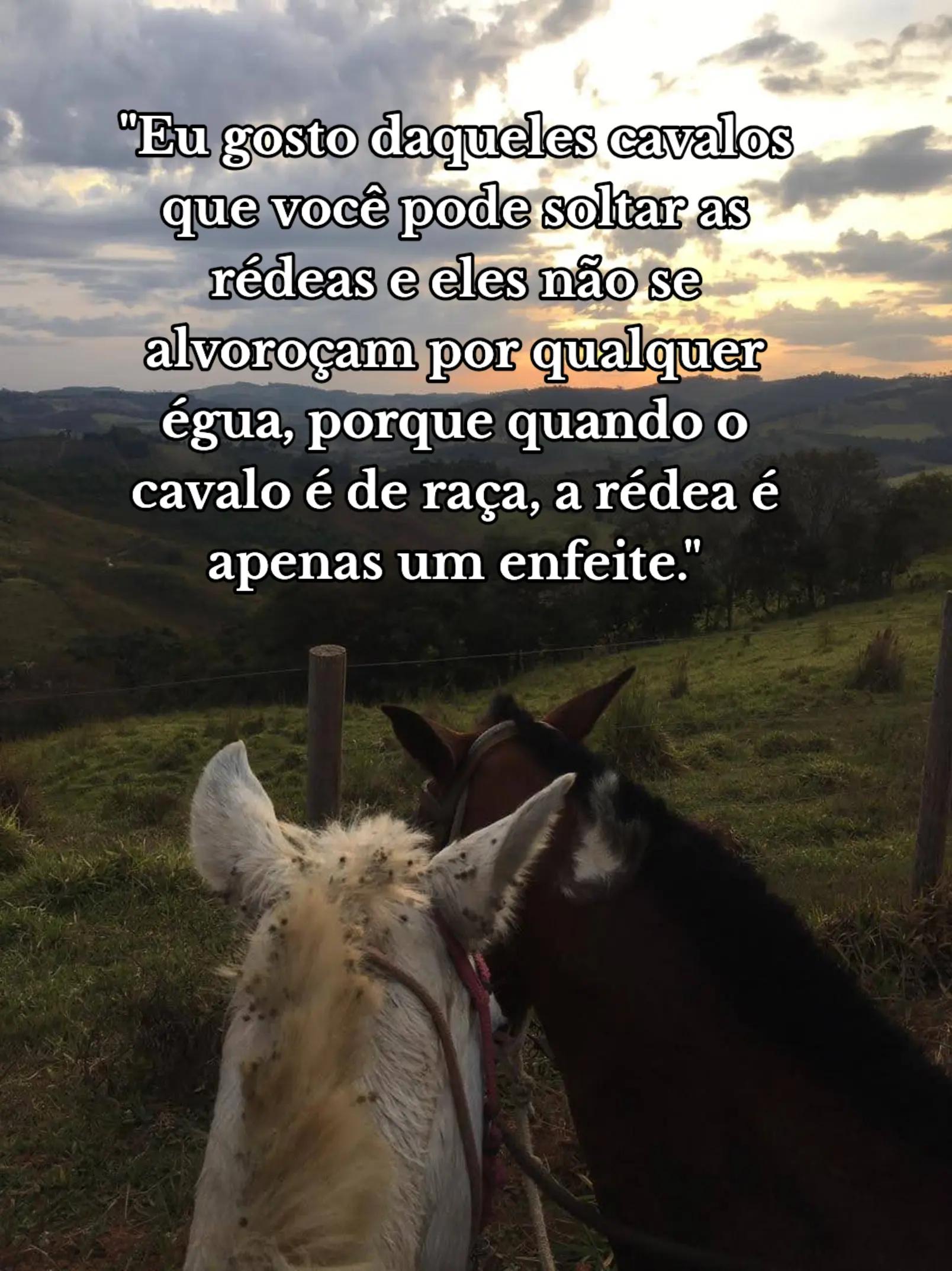 @Mírian Carla
