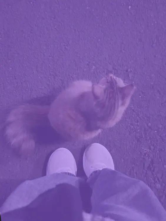 @๐๐ฅท๐ฃ๐ ๐๐ ๐ฅท๐