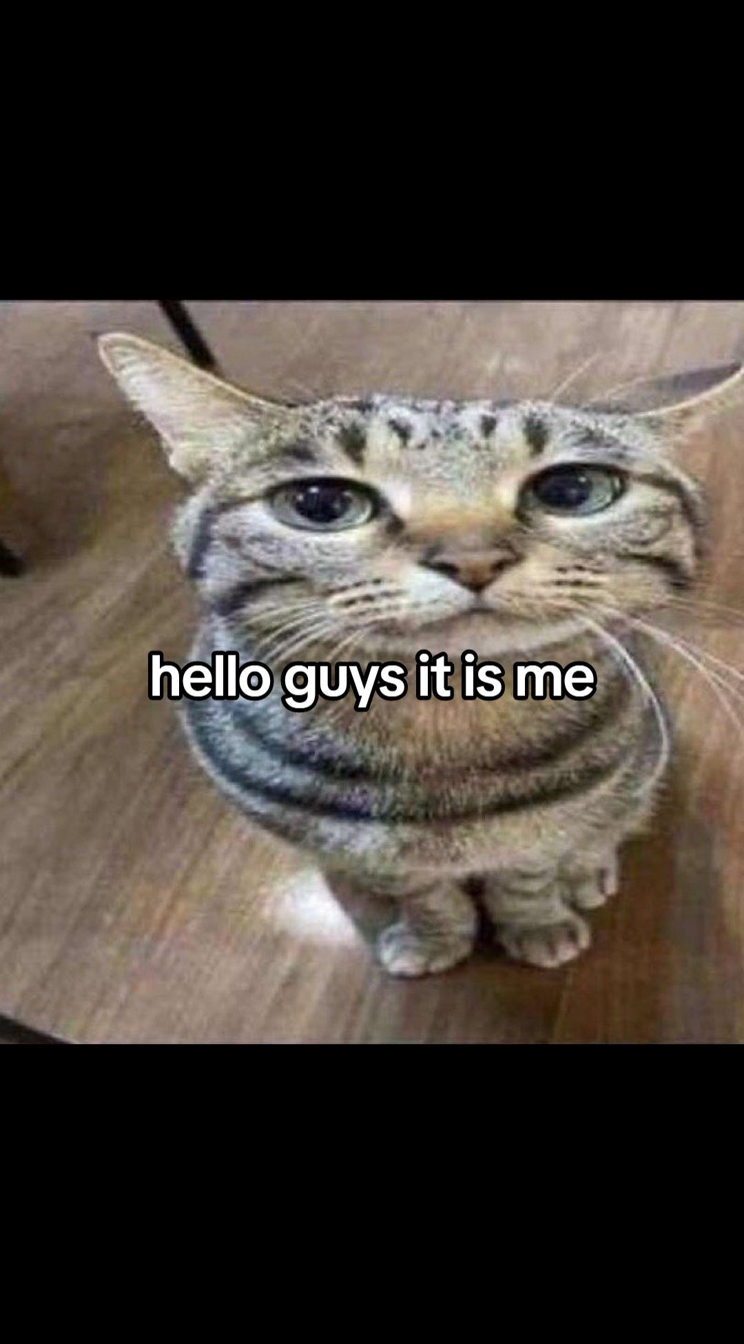 @Sub2CiniZ