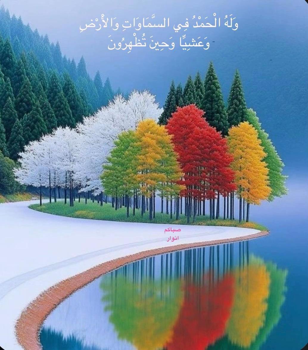@abdulkh2617