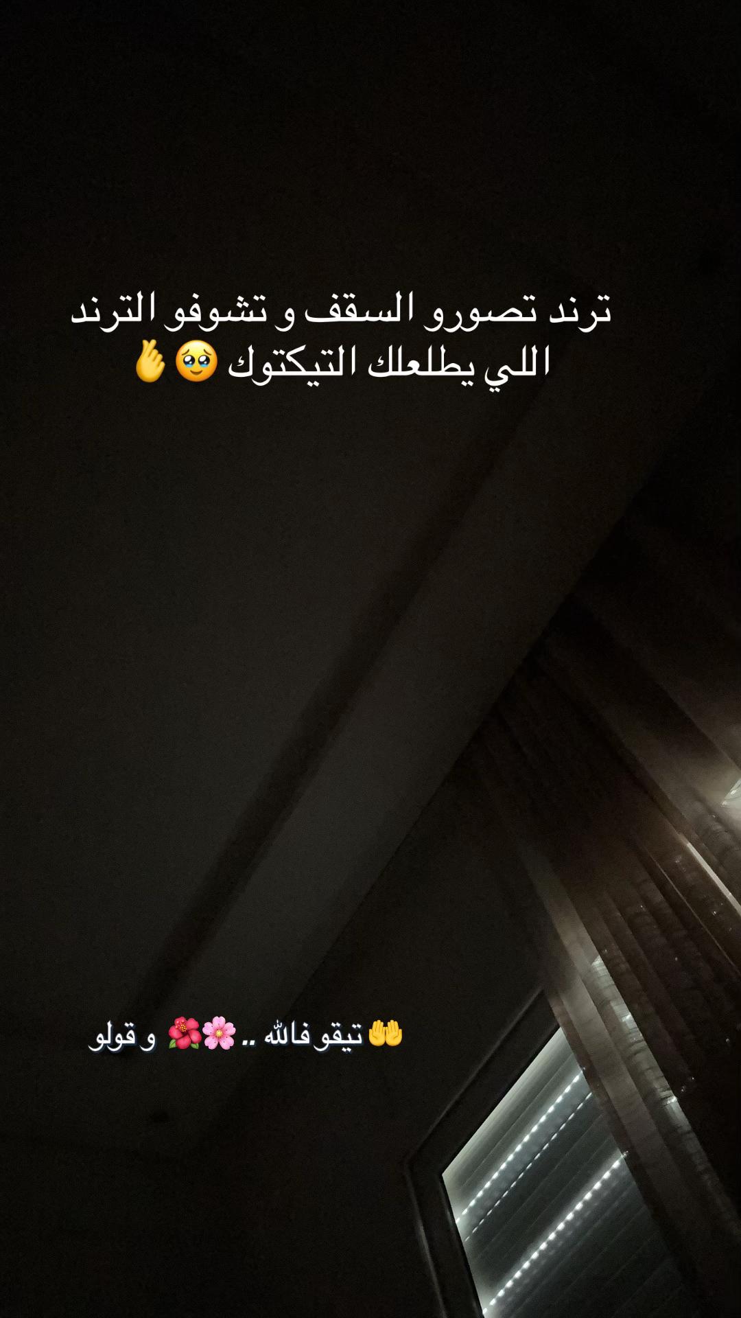 @Mimi 🐣