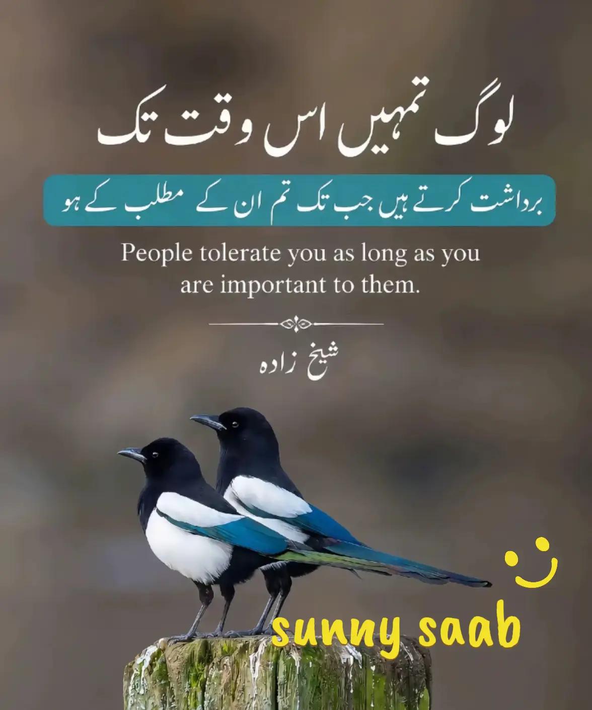 @sunny saab 1122