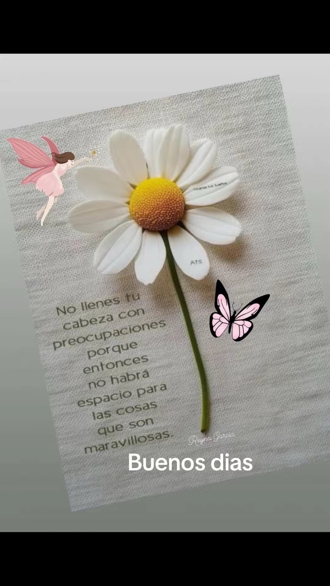 @Inesfloresg8129