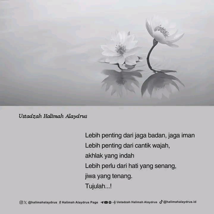 @Meilani Widyastuti