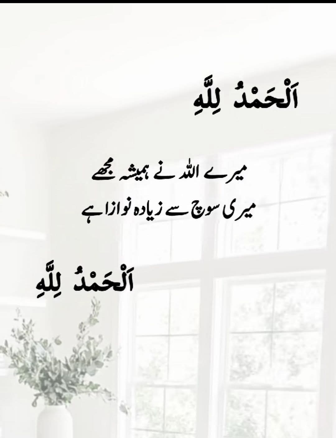 @Ahmed 💞