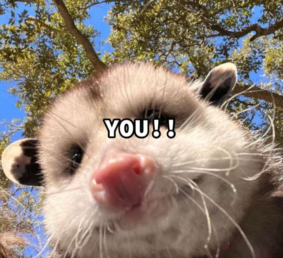 @AngryOpossum