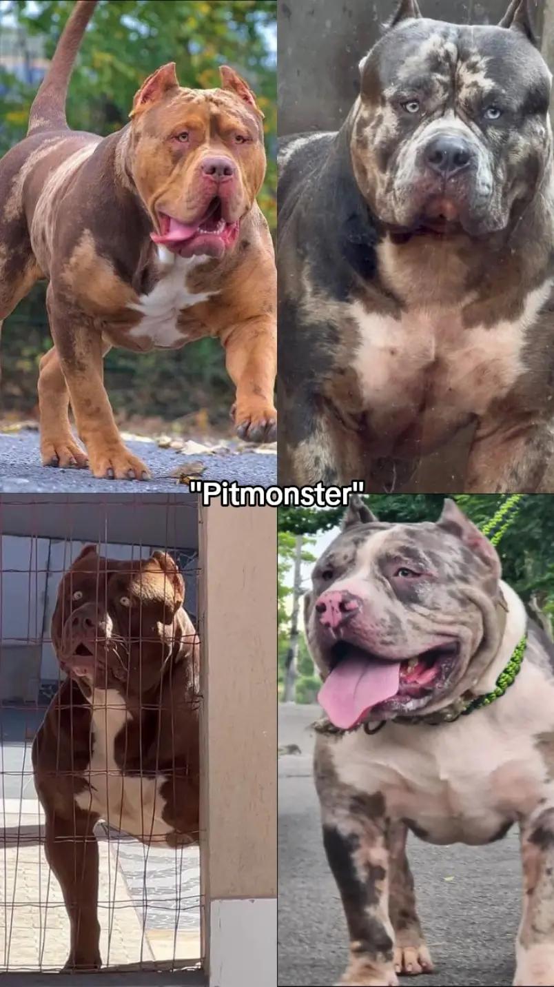 @𝙱𝚊𝚗𝚒𝚕𝚕𝚊