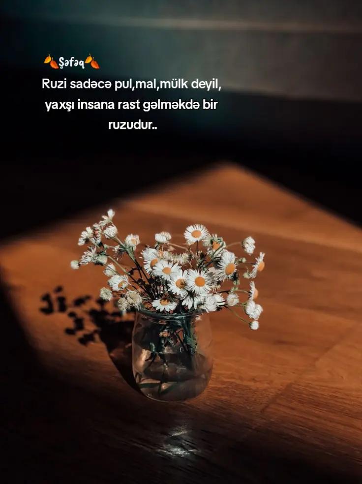 @🍂Shafaq🍂