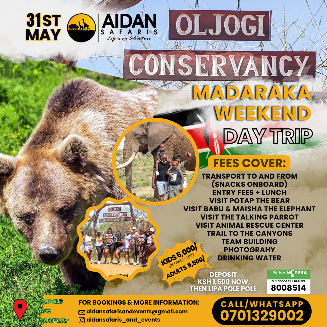 @aidansafaris