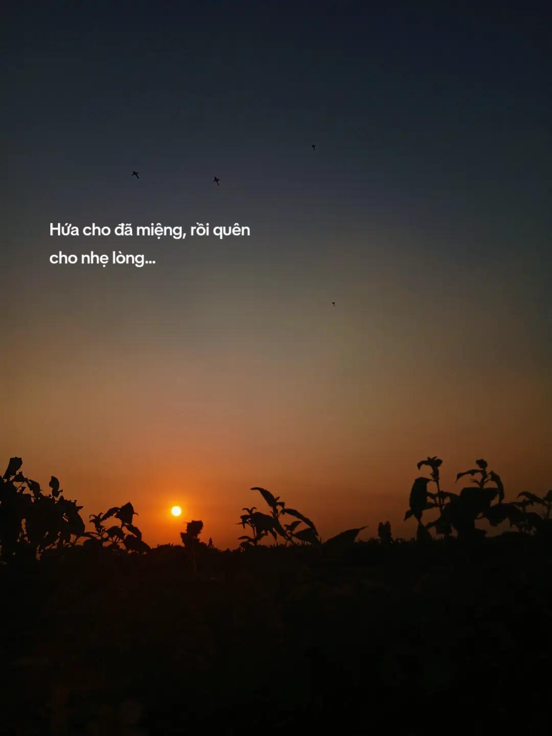 @Thương mỗi m&igrave;nh ch&agrave;ng ❤️&zwj;🩹