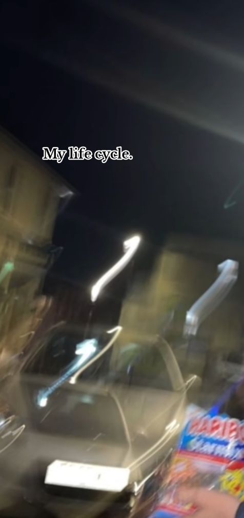 @👤