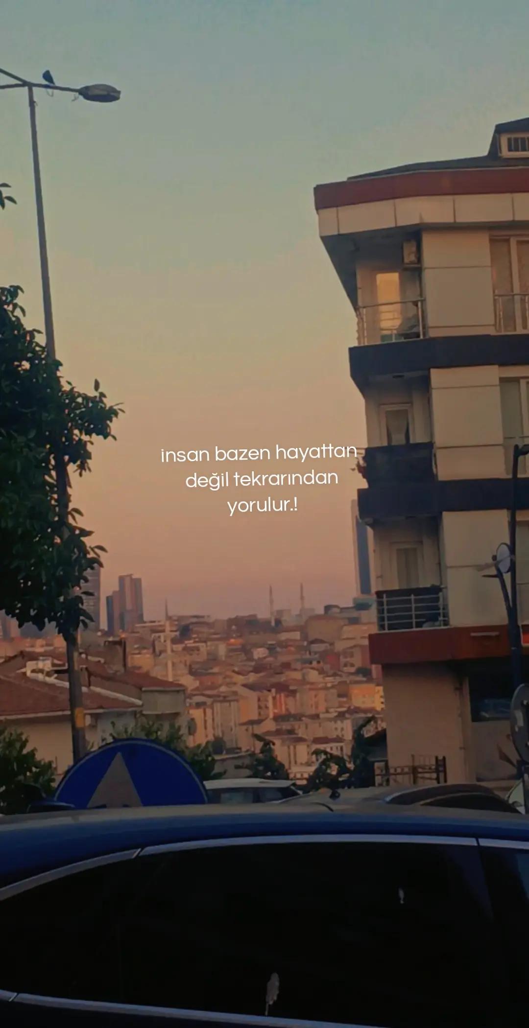 @irem zenger