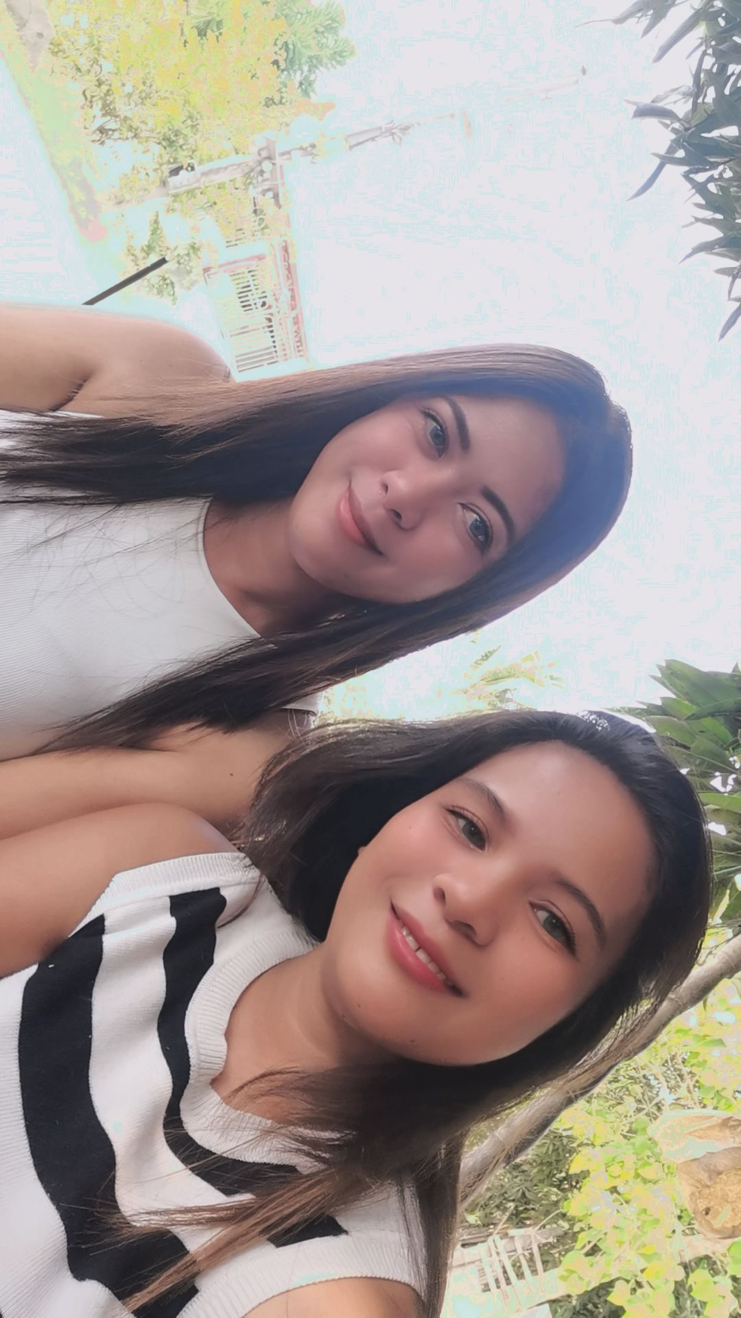 @lalaine