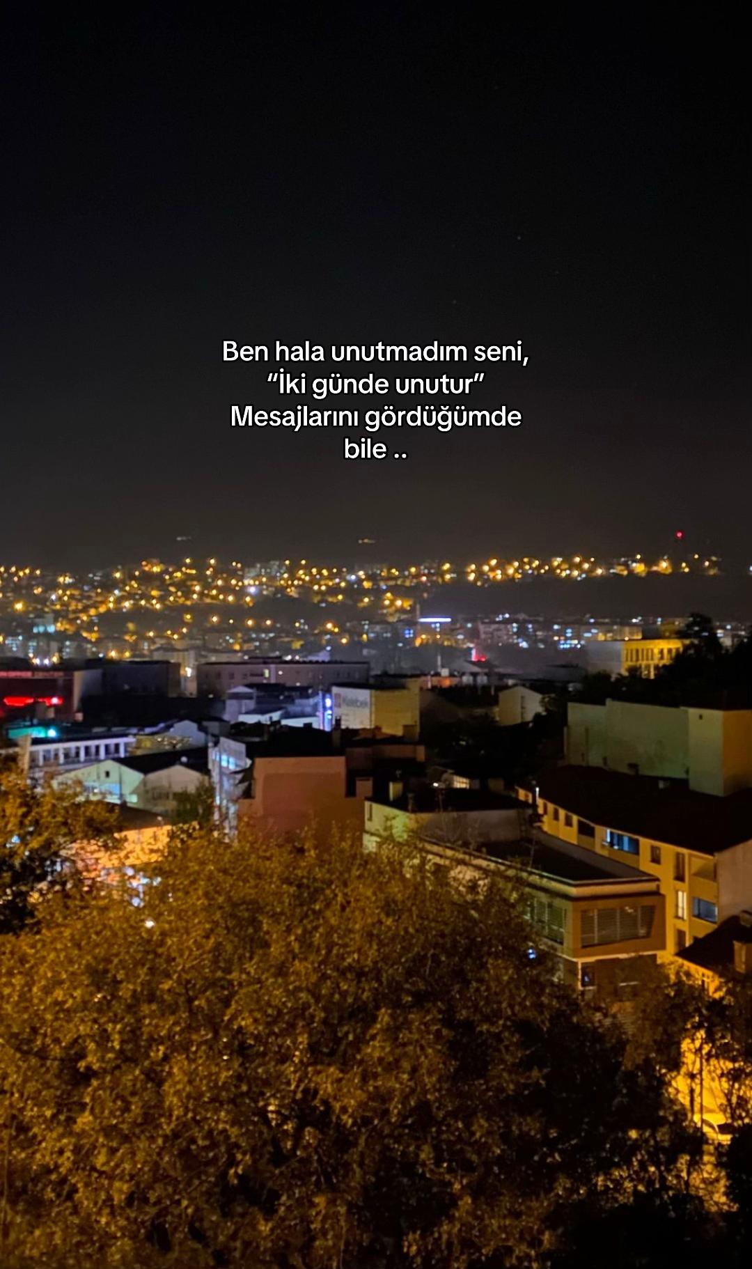 @seviyorgibiydin24