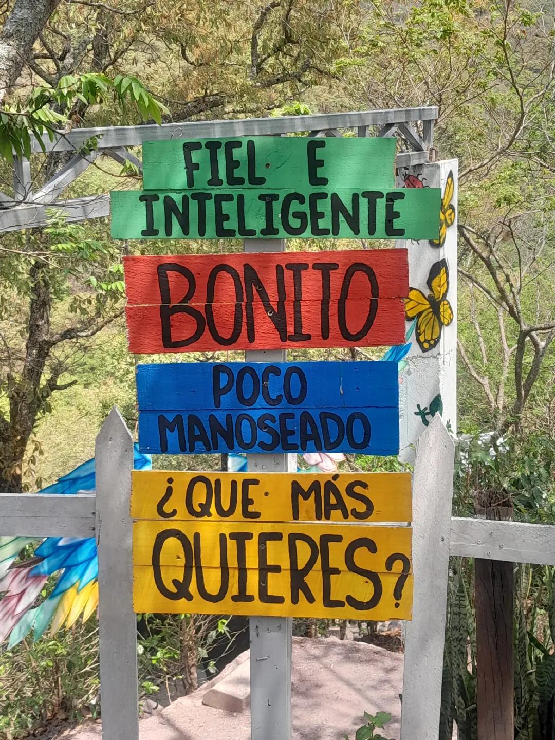 @TeRe XR