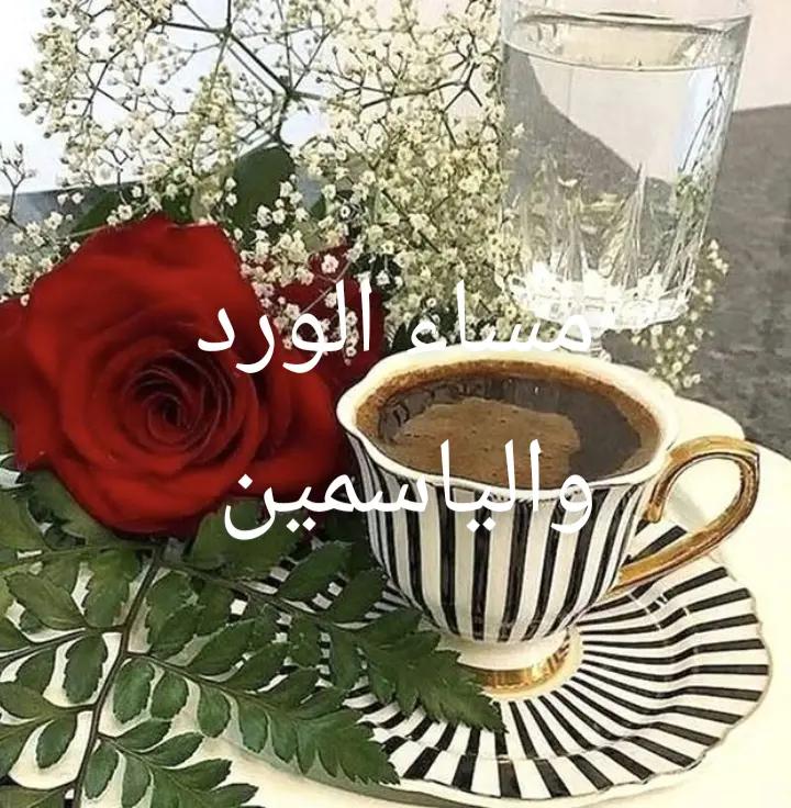 @Nazeeh Yamin