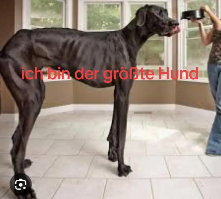 @S<3