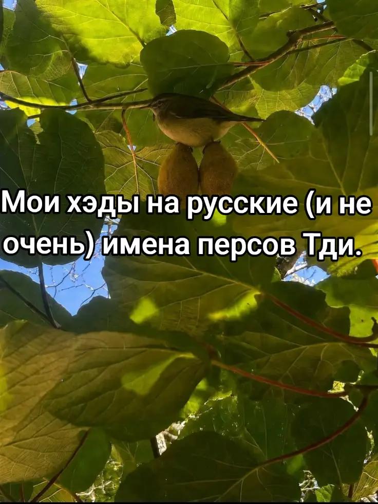 @Терентий Хагакуреонов