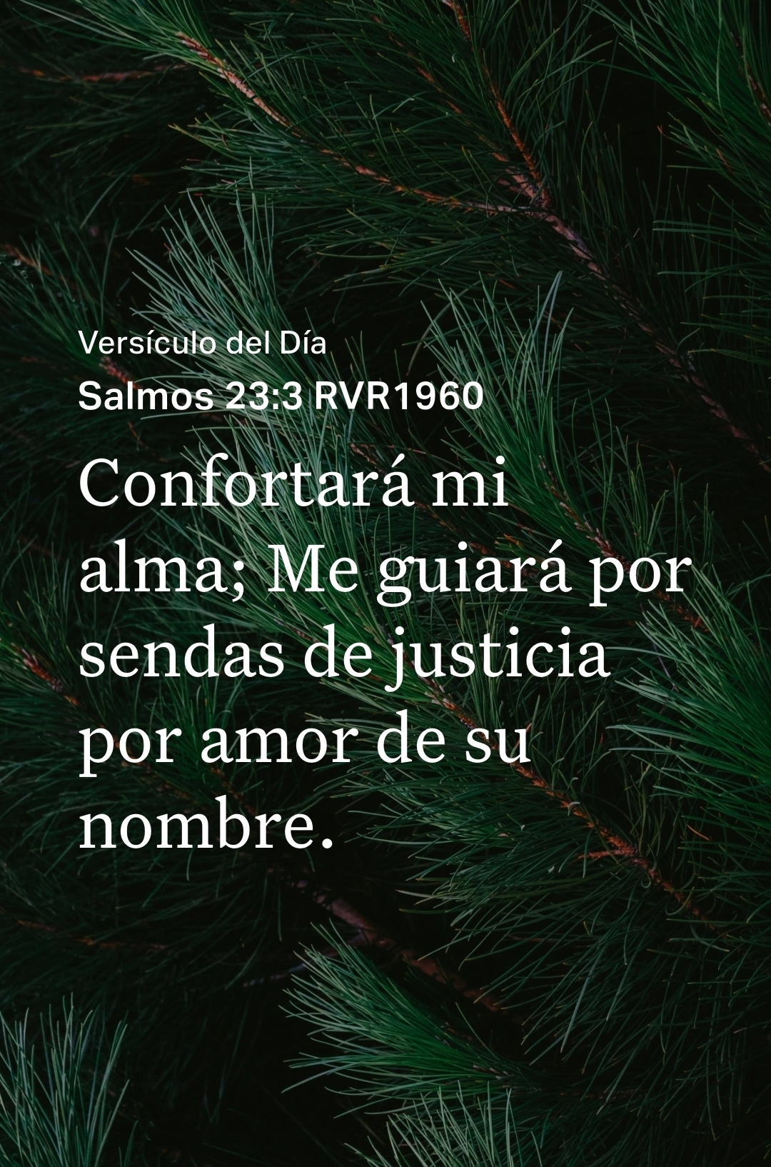 @sarahi