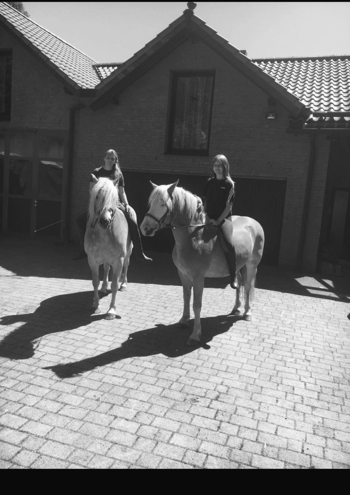 @HafiHorse2