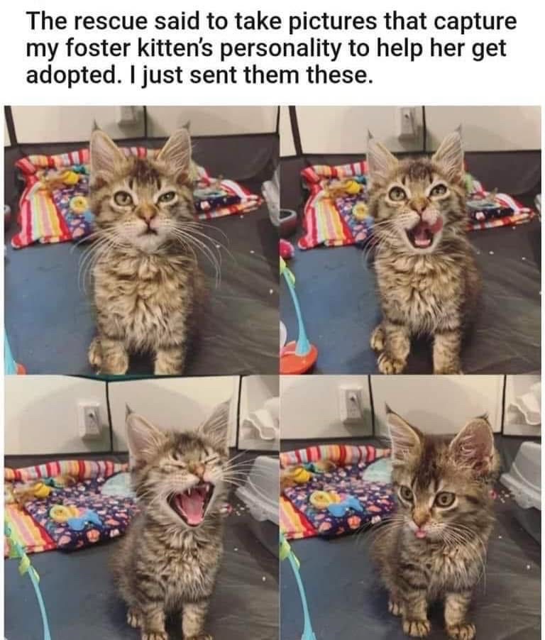 @SkilledAsparagus