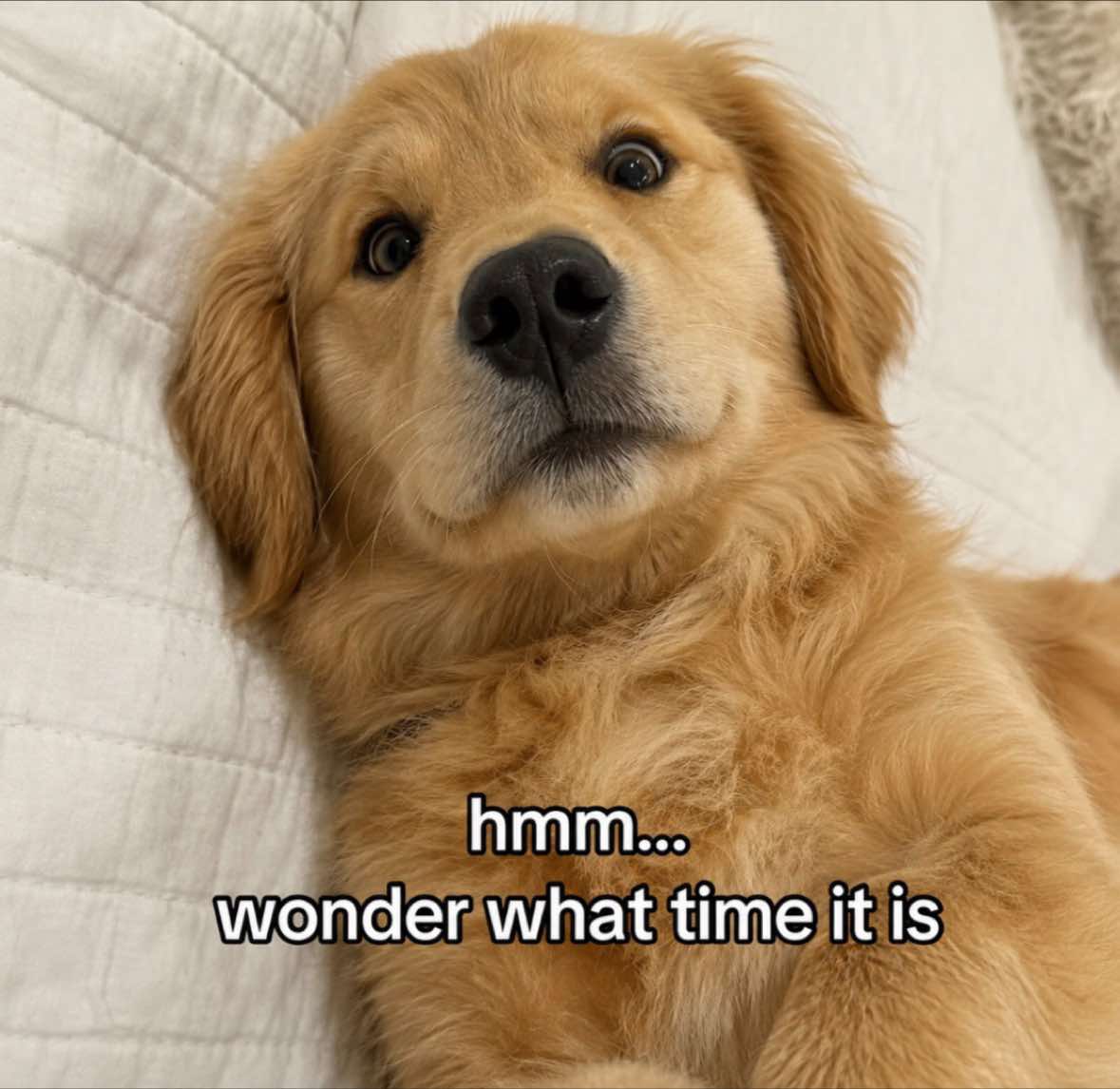 @thoughtswithred