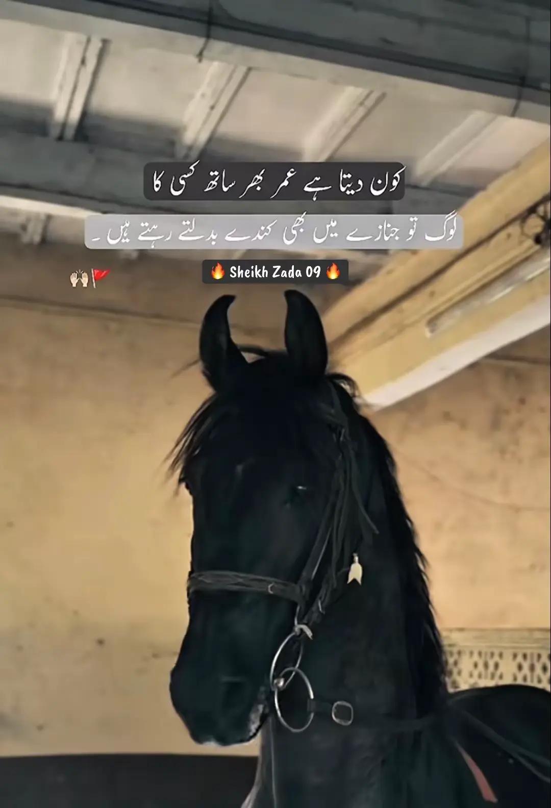 @Nouman sheikh