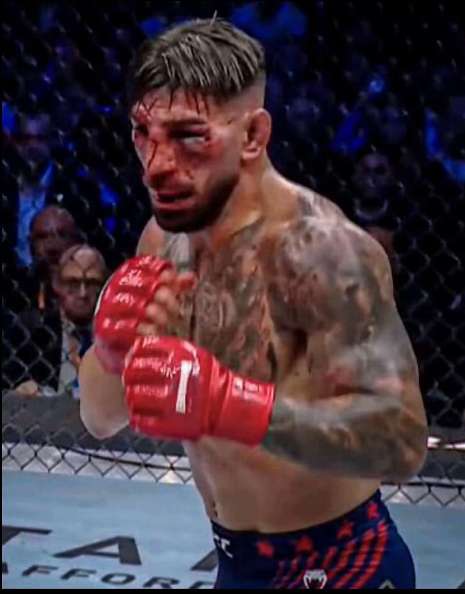 @UFC_Hub