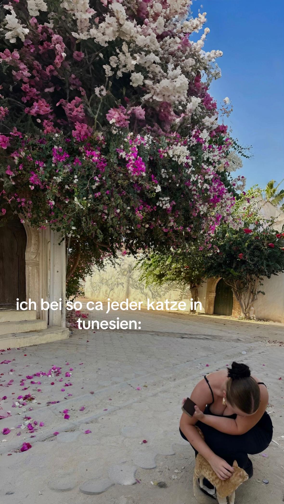 @julia