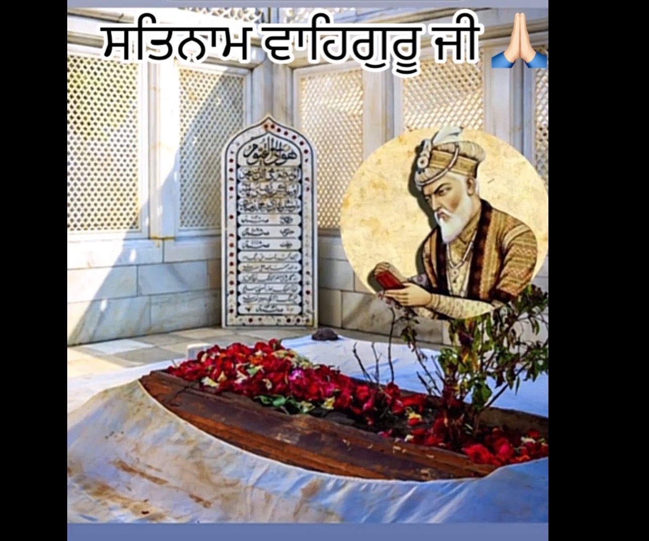 @Anna Ghotra