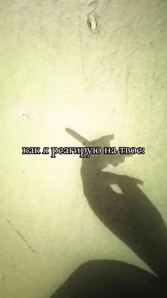 @𝖔𝖉𝖆 𝖉𝖔𝖟𝖆