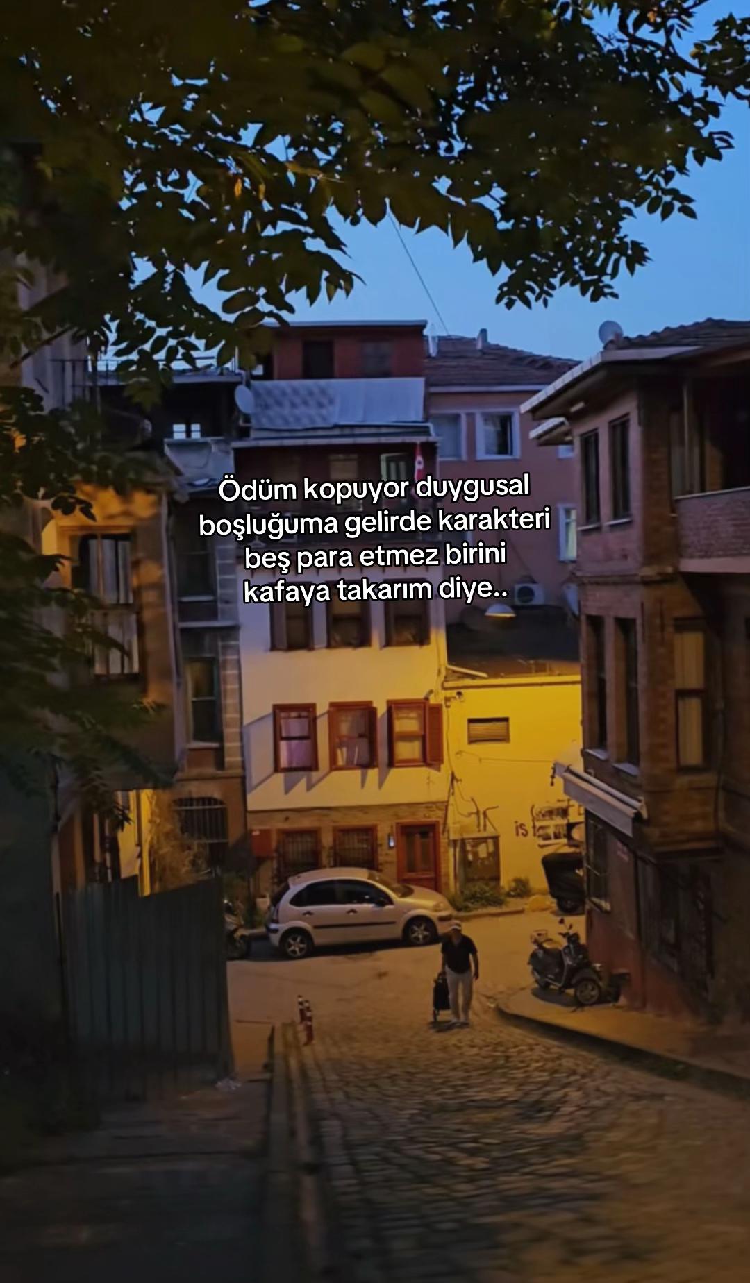@seviyorgibiydin24