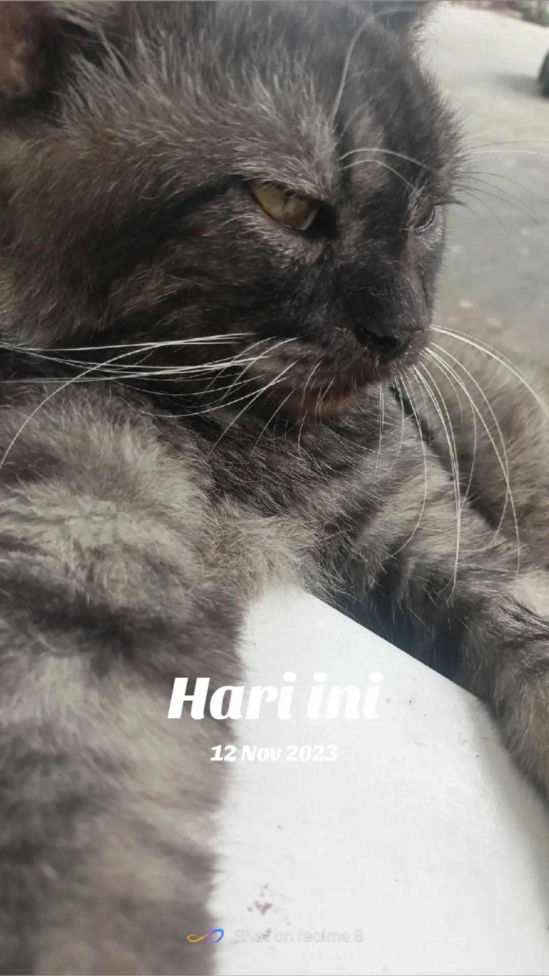 @RUN-i