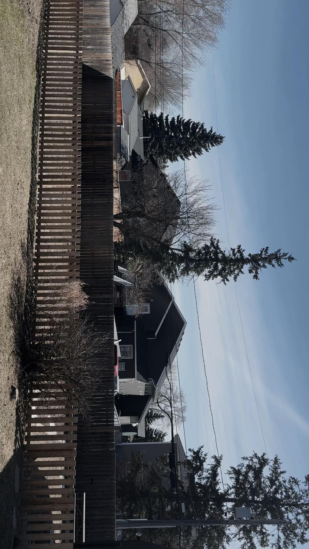 @Jass Maan🇨🇦
