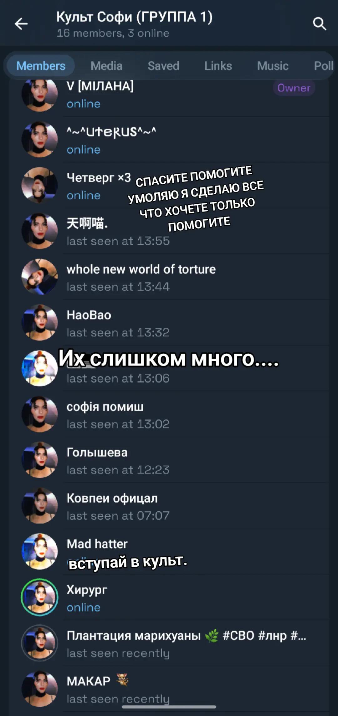 @Sophie's Cult Creator