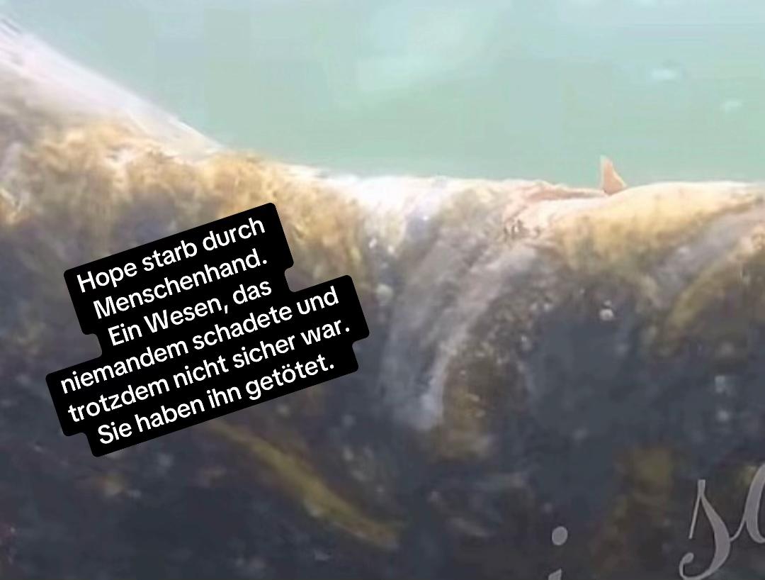 @jessiiungefiltert