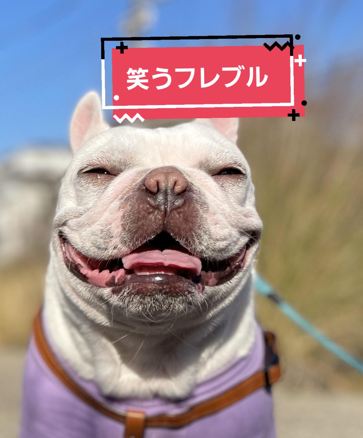 @フレブルJesse ❤️ MyO