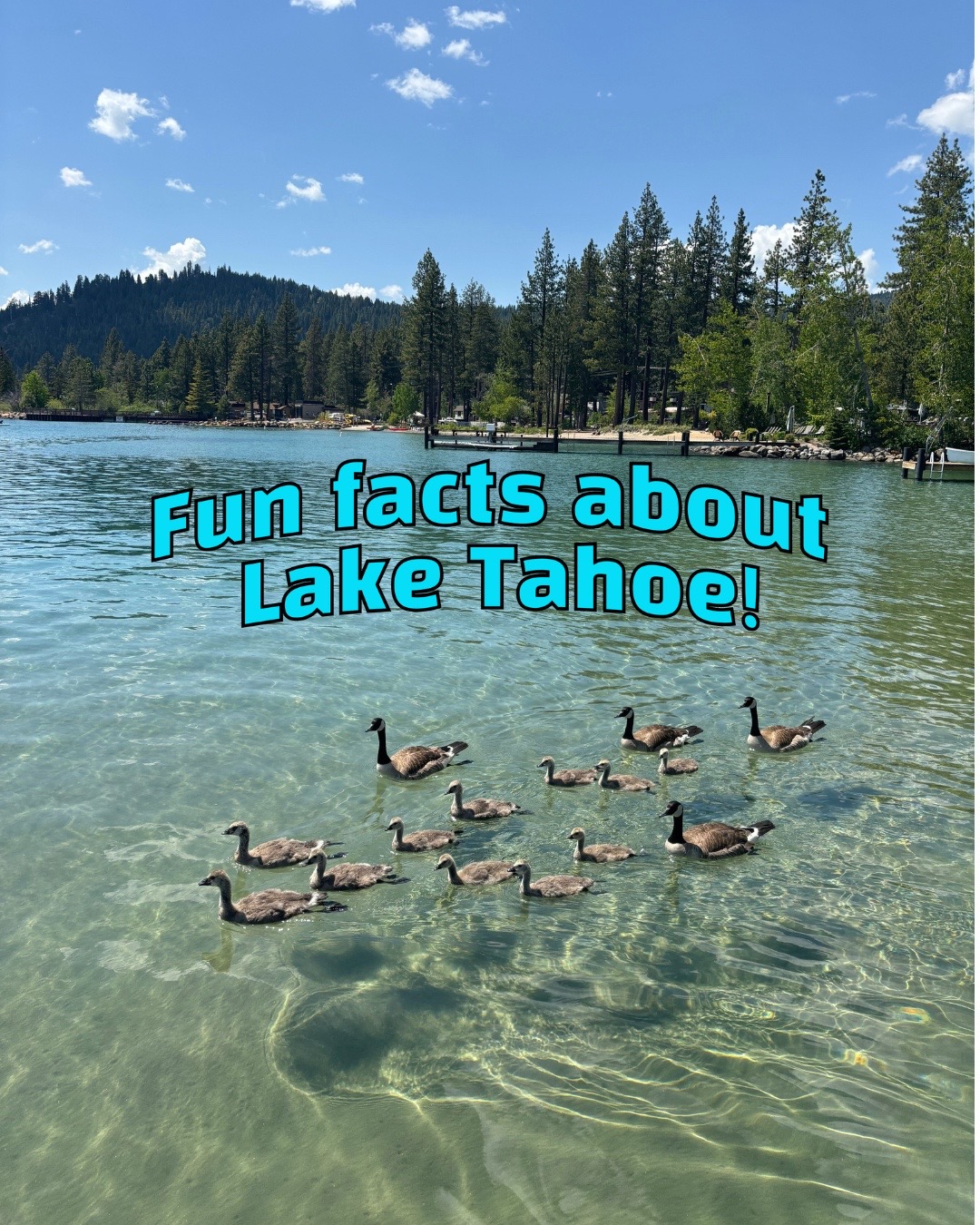 @North Lake Tahoe Boat Rental