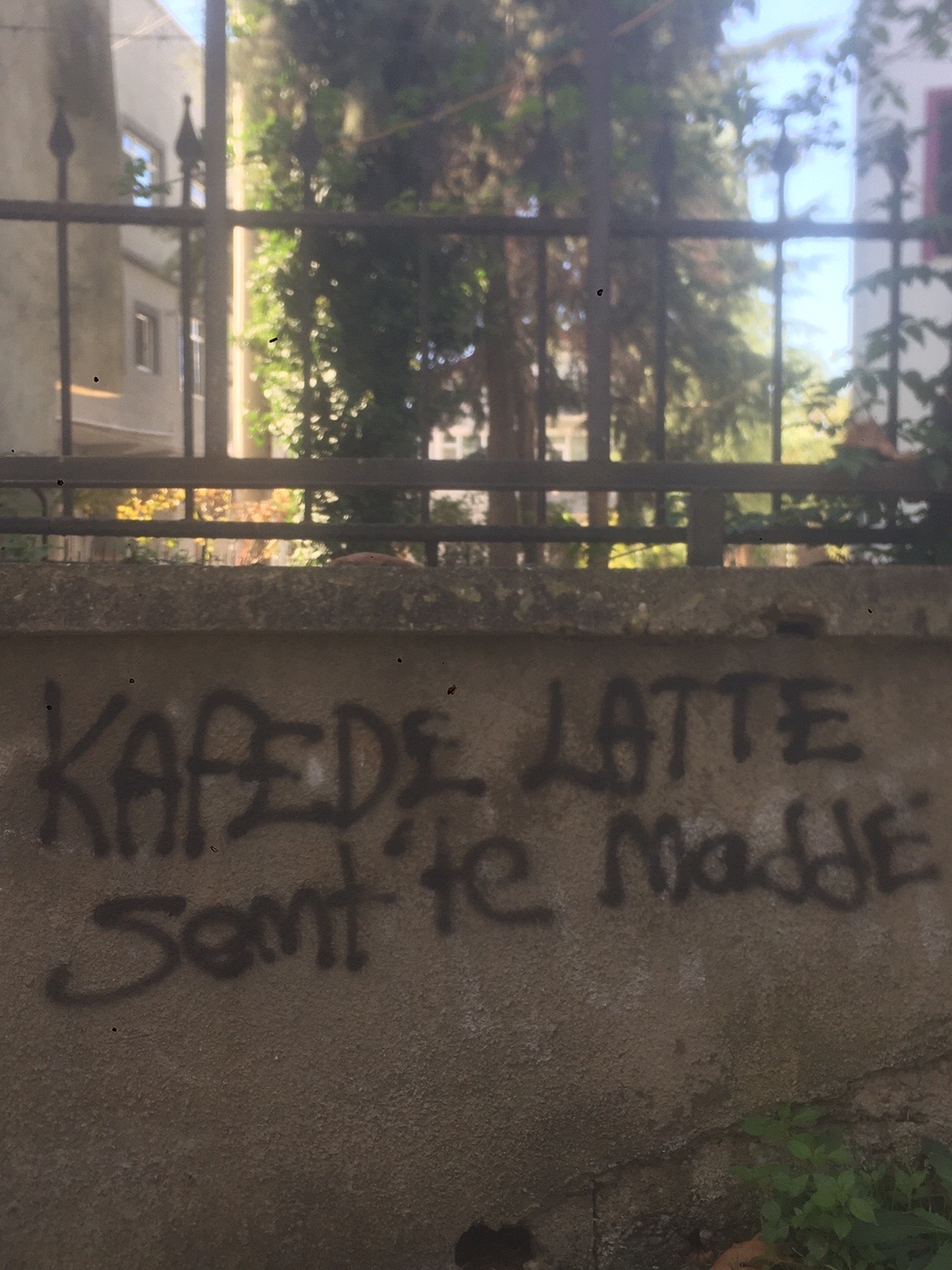 @CAN🦅