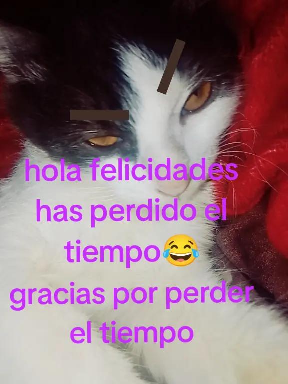 @elniñopro2026_nosoypro
