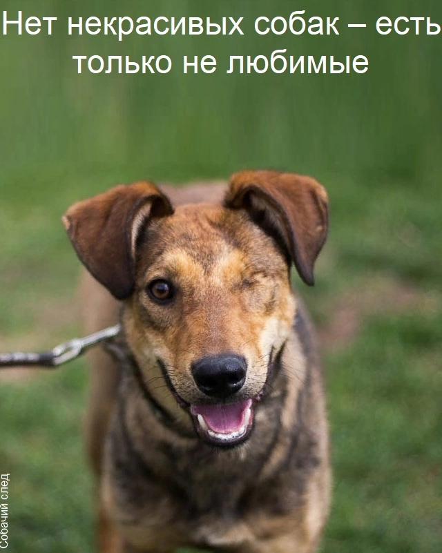 @Денис Манис !