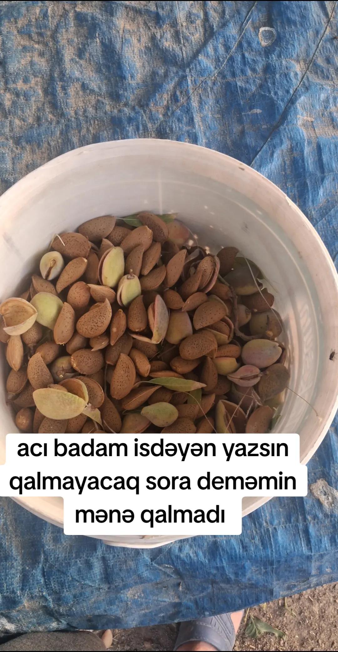 @HAYATLA MUCADELE