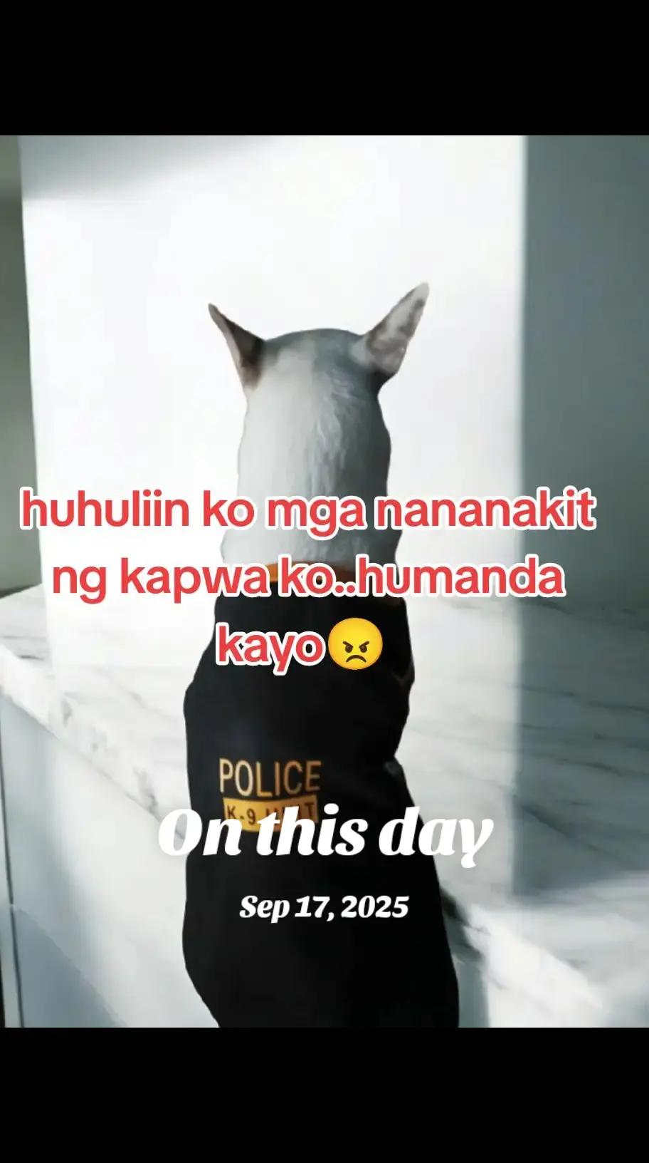 @bardbard🦮and Fam🧑&zwj;🦰🧑&zwj;🚒🧕