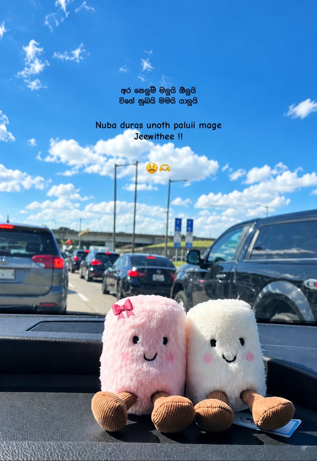 @𝙎𝗮𝗰𝗵𝗶┃සචි 〲 🩸🍃