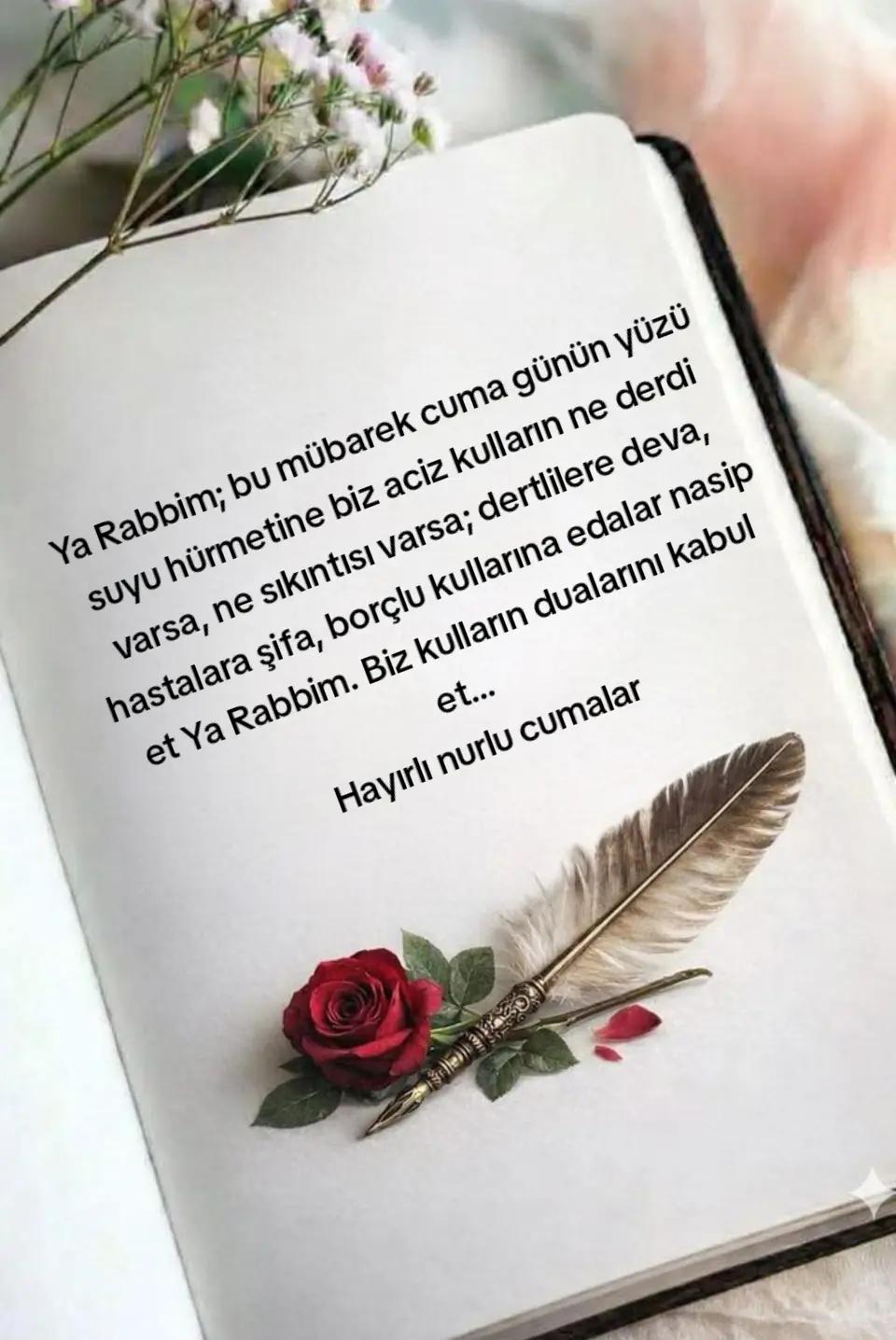 @Fatma Bolat