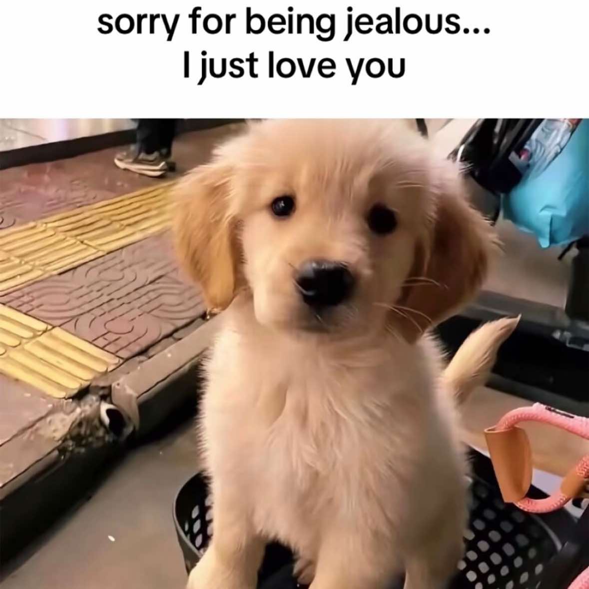 @thoughtswithred