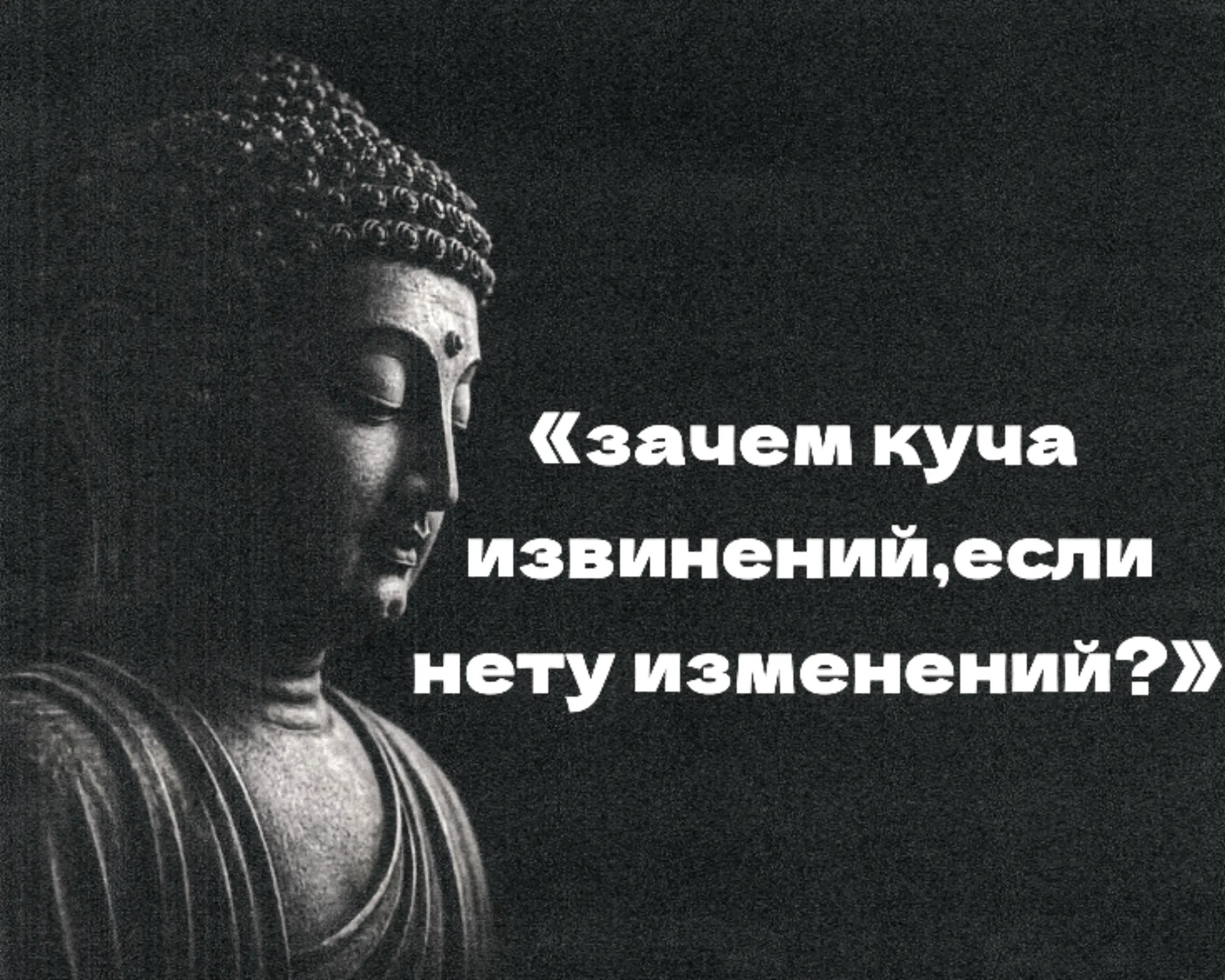 @ɸᴩиᴄᴀ ╥﹏╥