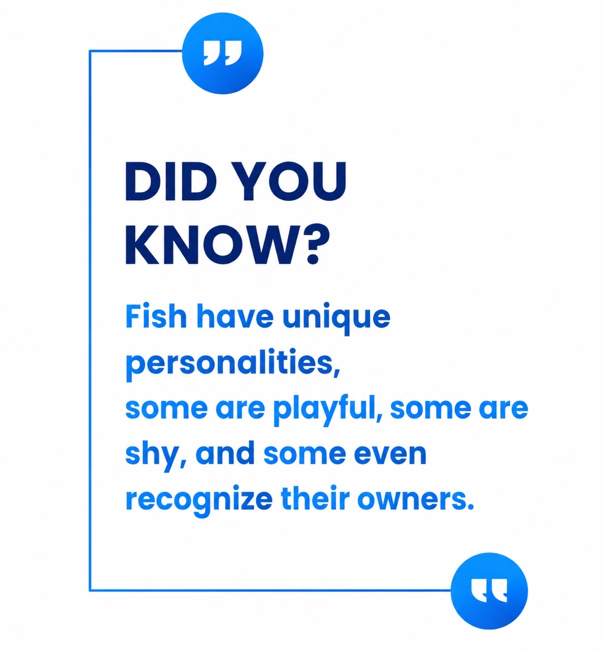 @fishtanks4u_