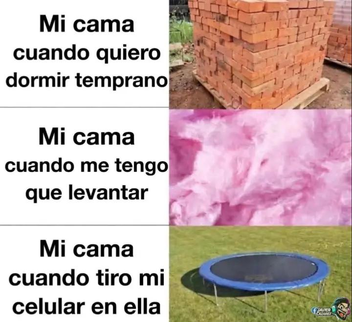 @flaquita🐱