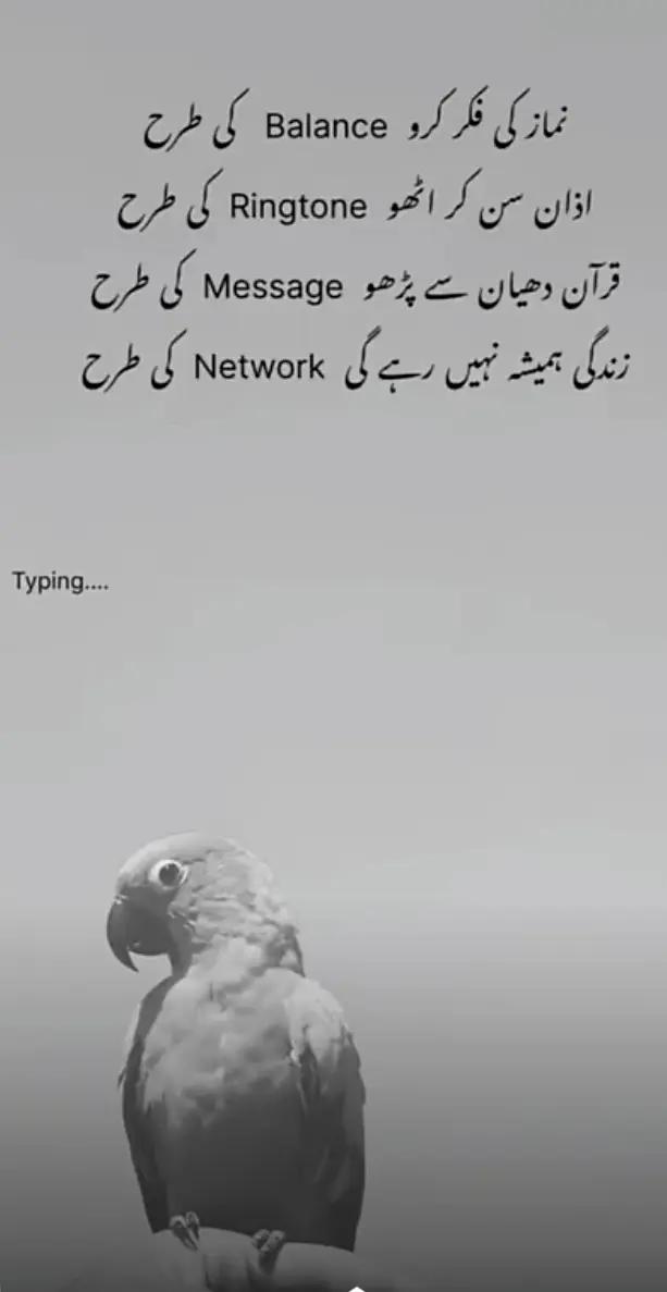 @Noman Ijaz